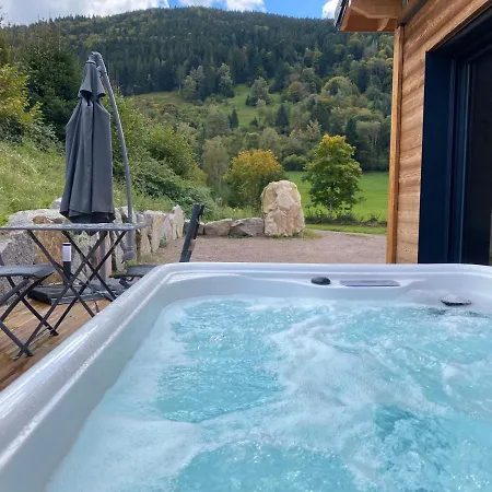 Les Perce Neige & Jacuzzi Privatif, Proximite Gerardmer & La Bresse Domek alpejski *