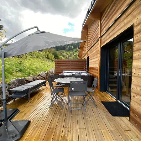 Les Perce Neige & Jacuzzi Privatif, Proximite Gerardmer & La Bresse *
