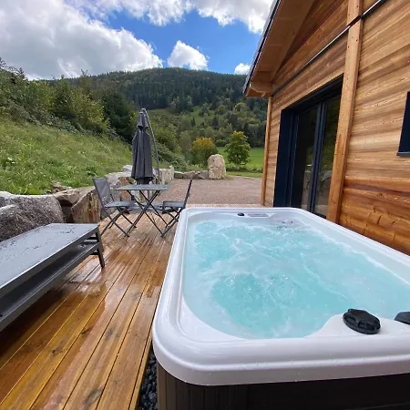 Les Perce Neige & Jacuzzi Privatif, Proximite Gerardmer & La Bresse *