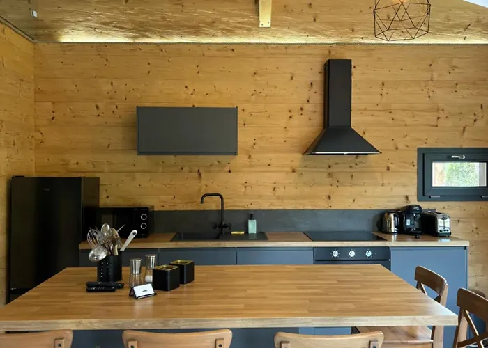 Les Perce Neige & Jacuzzi Privatif, Proximite Gerardmer & La Bresse Chalet