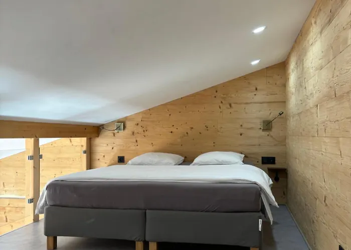 Les Perce Neige & Jacuzzi Privatif, Proximite Gerardmer & La Bresse *